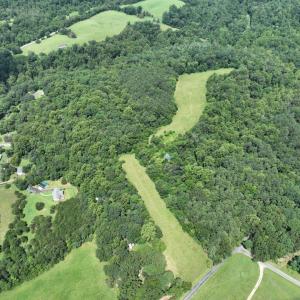 DJI_0556