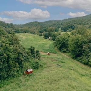 Naff RD 159.847 Acres