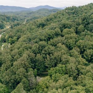 Dunahoo RD 39.421 Acres