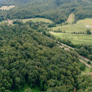 Dunahoo RD 39.421 Acres