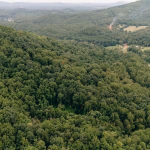 Dunahoo RD 39.421 Acres