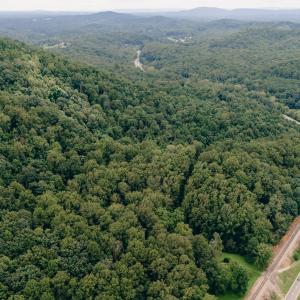 Dunahoo RD 39.421 Acres