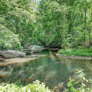 Enjoy Fishing at the River
