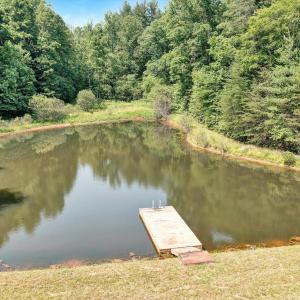 Enjoy Swimming in the Pond