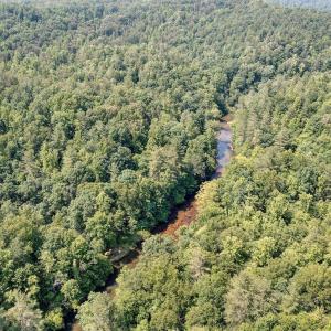 Mostly Wooded Acreage