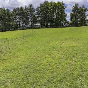 9195 Springwood Rd-19 - Copy