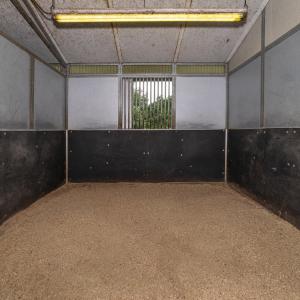 9195 Springwood Rd-42 - Copy