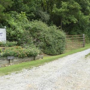 9195 Springwood Rd-1