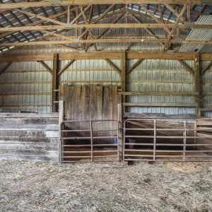 9195 Springwood Rd-14