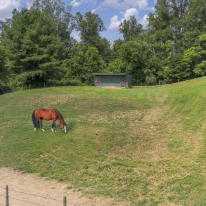 9195 Springwood Rd-25 - Copy