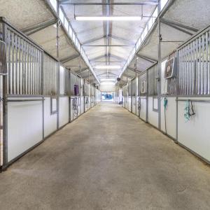 9195 Springwood Rd-37