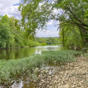 9195 Springwood Rd-73 - Copy