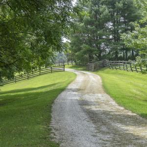 9195 Springwood Rd-3