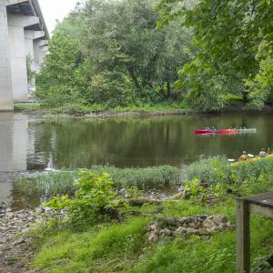 9195 Springwood Rd-67 - Copy