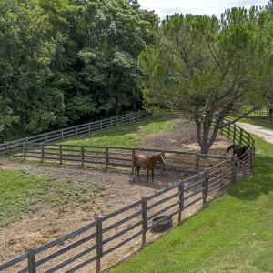 9195 Springwood Rd-26 - Copy