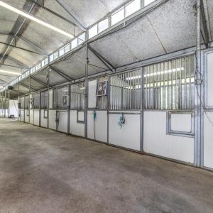 9195 Springwood Rd-36