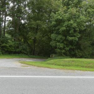 9195 Springwood Rd-65