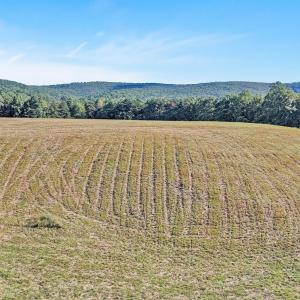 03-DJI_20250830164234_0375