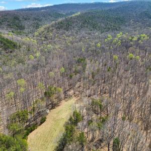 DJI_0918