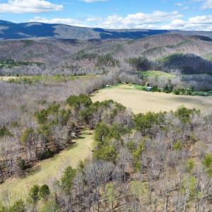 DJI_0924
