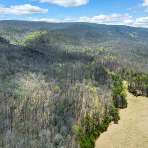 DJI_0933