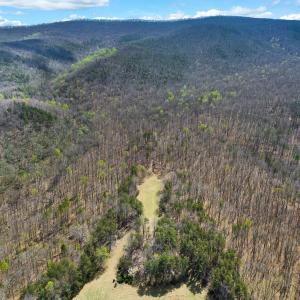 DJI_0939