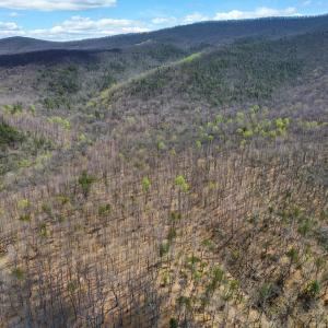 DJI_0942