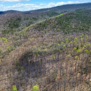 DJI_0945