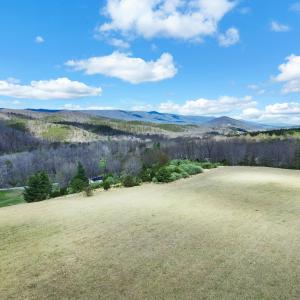DJI_0954