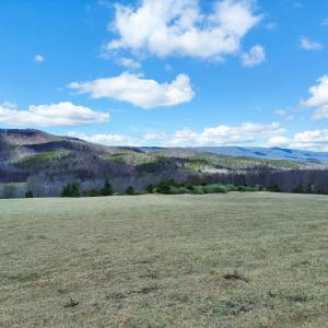 DJI_0957