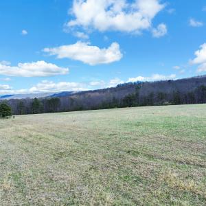 DJI_0966