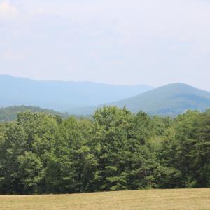 IMG_0010