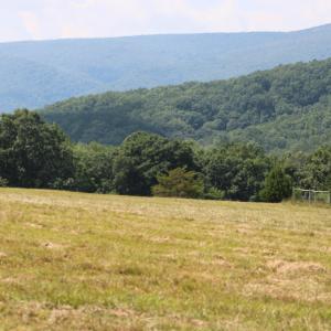 IMG_0102