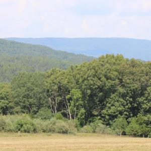IMG_0110