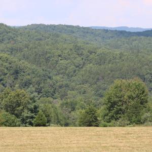 IMG_0120