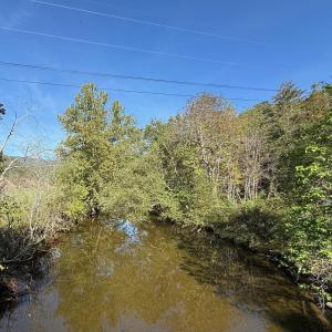 Creek View