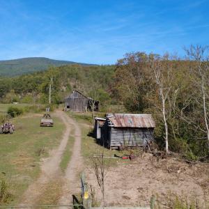 DJI_0556