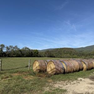 Upper Pasture
