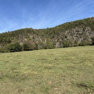 back pasture 2