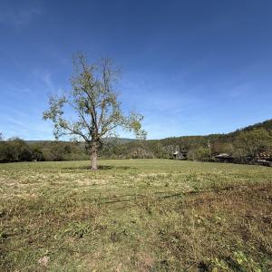 upper pasture