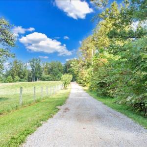 126-DJI_20250918130119_0038_D_MIB