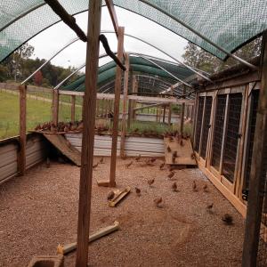 IMG_20200913_125306385