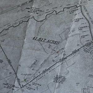 WhatsApp Image 2025-10-10 at 11.06.12 AM