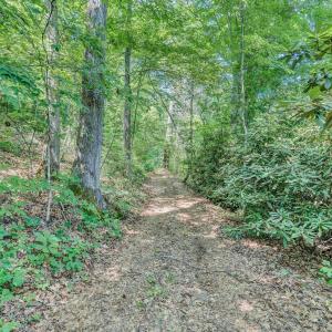 Tons of Hiking Trails