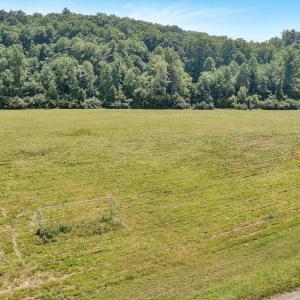 Plenty of Pasture Land