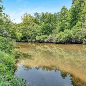 Swim in the River