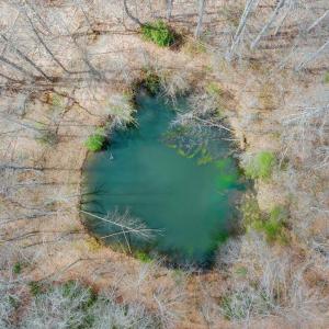 051-DJI_20260324013457_0184_D