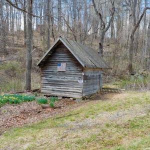 019-DJI_20260324012335_0149_D