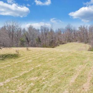 045-DJI_20260324013213_0177_D