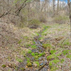 023-DJI_20260324012452_0153_D